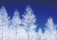 �����C���[�W